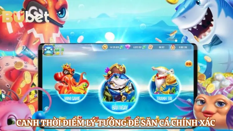 Canh thời điểm lý tưởng để săn cá chính xác 