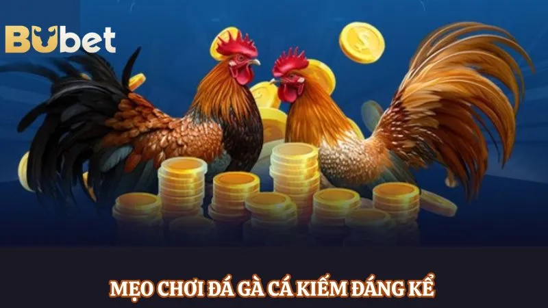 Mẹo chơi đá gà cá kiếm đáng kể 